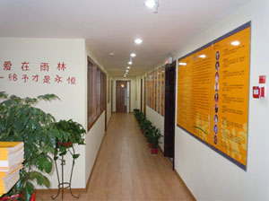 金色雨林感統(tǒng)機(jī)構(gòu)相冊4