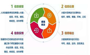 感覺統(tǒng)合過程